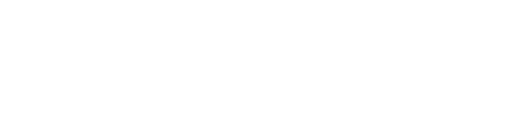 SpeedFleet UVV Fahrer
